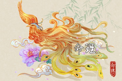 择吉黄历每日宜忌|择吉日大全|择吉日查询